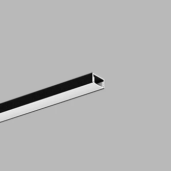 Mic